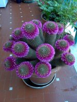 IMG-20190918-WA0008.jpg