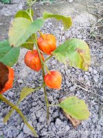 IMG-20190918-WA0012.jpg