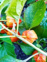 IMG-20190918-WA0013.jpg