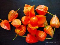 IMG-20190918-WA0014.jpg