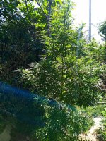 IMG-20190920-WA0014.jpg