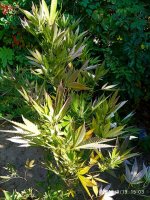 IMG-20190920-WA0020.jpg