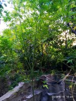 IMG-20190920-WA0024.jpg