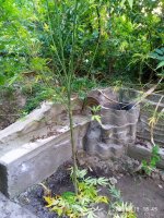 IMG-20190920-WA0023.jpg