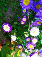 IMG-20190920-WA0039.jpg