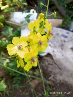 IMG-20190920-WA0038.jpg