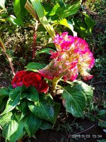 IMG-20190920-WA0036.jpg