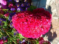 IMG-20190920-WA0032.jpg