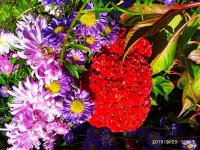 IMG-20190920-WA0031.jpg