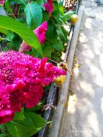 IMG-20190920-WA0030.jpg