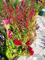 IMG-20190920-WA0027.jpg