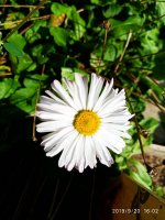 IMG-20190920-WA0049.jpg