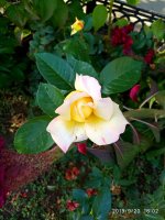 IMG-20190920-WA0048.jpg