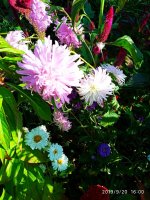 IMG-20190920-WA0052.jpg