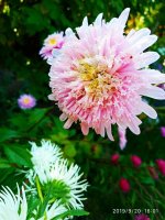 IMG-20190920-WA0053.jpg