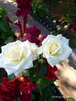 IMG-20190920-WA0055.jpg