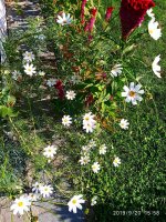 IMG-20190920-WA0063.jpg