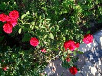 IMG-20190920-WA0061.jpg