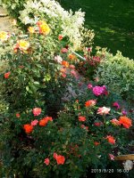 IMG-20190920-WA0060.jpg
