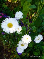 IMG-20190920-WA0058.jpg