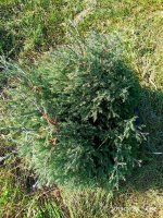 IMG-20190920-WA0047.jpg