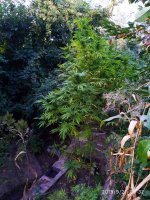 IMG-20190921-WA0007.jpg