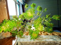 IMG-20190921-WA0016.jpg