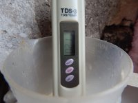 DSCN3174.JPG