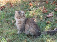 IMG_2166.JPG