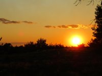 IMG_2263.JPG