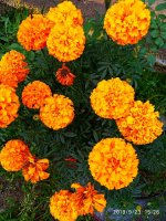 IMG-20190923-WA0037.jpg