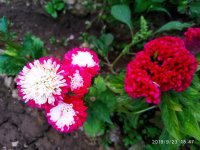 IMG-20190923-WA0035.jpg