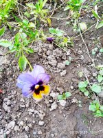 IMG-20190923-WA0033.jpg