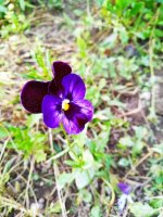 IMG-20190923-WA0032.jpg