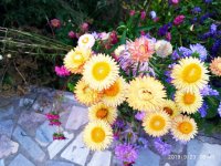 IMG-20190923-WA0031.jpg