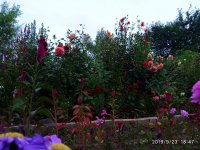 IMG-20190923-WA0027.jpg