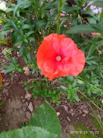 IMG-20190923-WA0026.jpg
