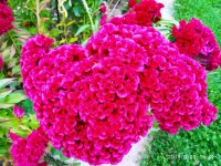IMG-20190923-WA0024.jpg