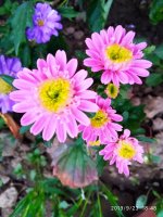 IMG-20190923-WA0023.jpg