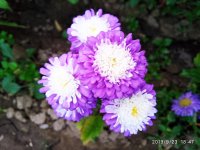 IMG-20190923-WA0022.jpg