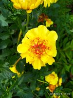 IMG-20190923-WA0021.jpg