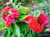 IMG-20190923-WA0018.jpg