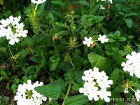 IMG-20190923-WA0017.jpg