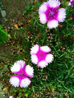 IMG-20190923-WA0015.jpg