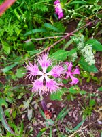 IMG-20190923-WA0011.jpg