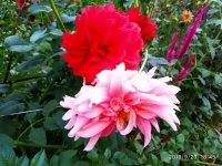 IMG-20190923-WA0010.jpg