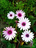 IMG-20190923-WA0009.jpg