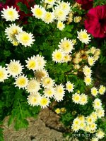 IMG-20190923-WA0007.jpg