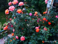 IMG-20190923-WA0006.jpg