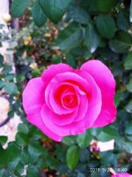 IMG-20190923-WA0004.jpg